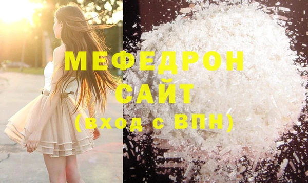шишки Аша