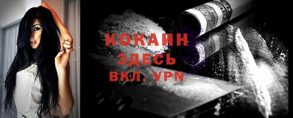 шишки Богданович