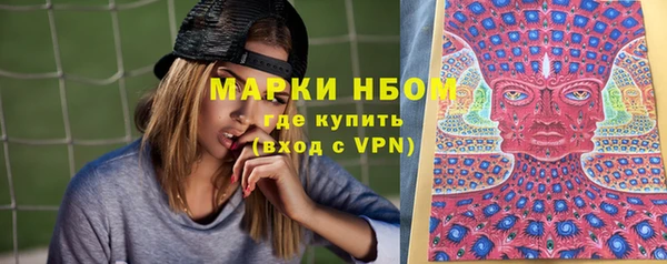 дживик Богородск