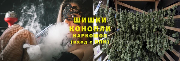 шишки Богданович