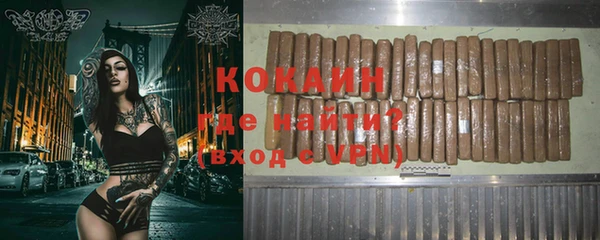 дживик Богородск
