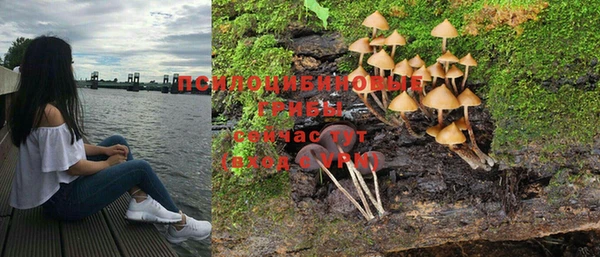 шишки Богданович