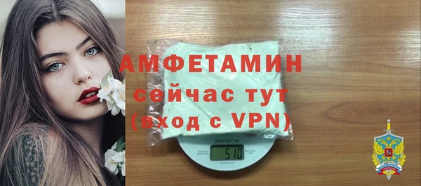 дживик Богородск