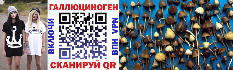 Псилоцибиновые грибы мицелий  магазин продажи   Ворсма 
